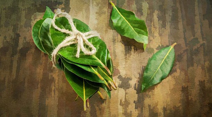 তেজপাতার ১০ ব্যবহার জানলে অবাক হবেন! 